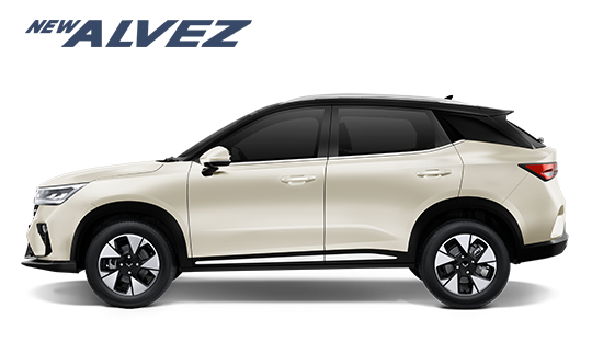 New Alvez